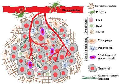 Tumor Microenvironment Targeted Nanotherapy